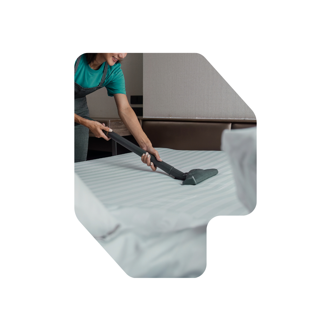 Experiencias y excursiones para huéspedes en Valencia